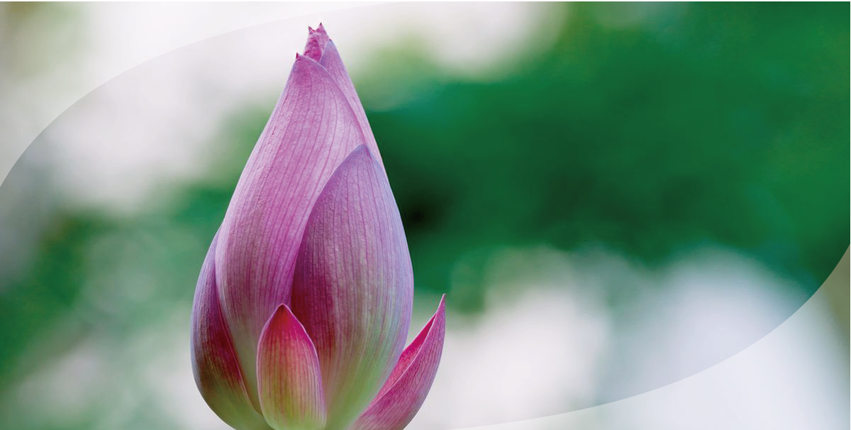 慈受院門跡について